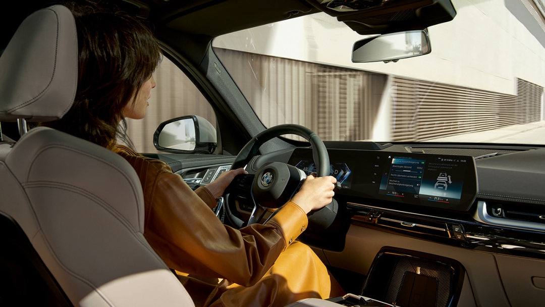 Professional жүргізуші көмекшісі.    